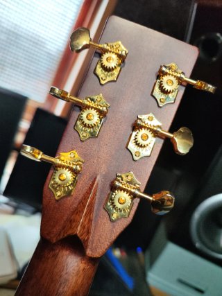 Guitarra Acústica Sigma DT-41