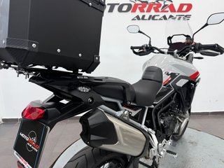Triumph Tiger 900 Rally Pro 2024
