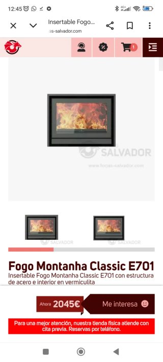 Estufa insertable de leña