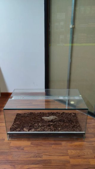 Terrario grande