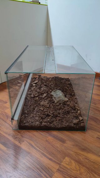 Terrario grande