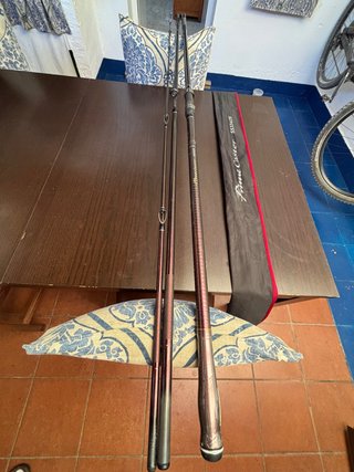 Caña DAIWA PRIME CASTER SS33425