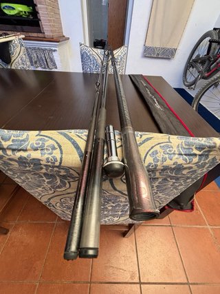 Caña DAIWA PRIME CASTER SS33425