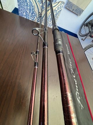 Caña DAIWA PRIME CASTER SS33425
