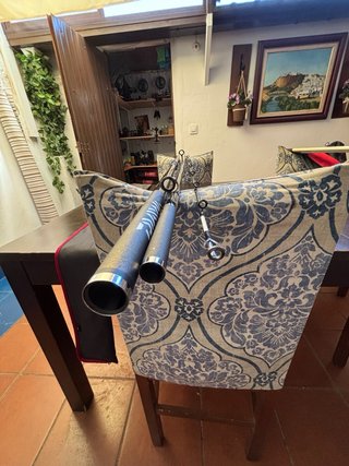 Caña DAIWA PRIME CASTER SS33425