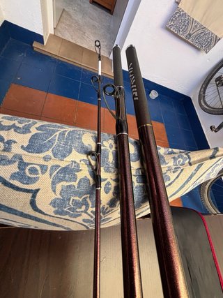 Caña DAIWA PRIME CASTER SS33425