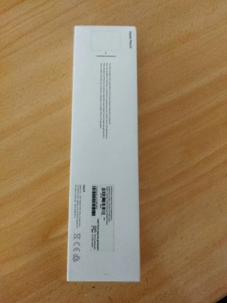 Apple Pencil 2ª Gen