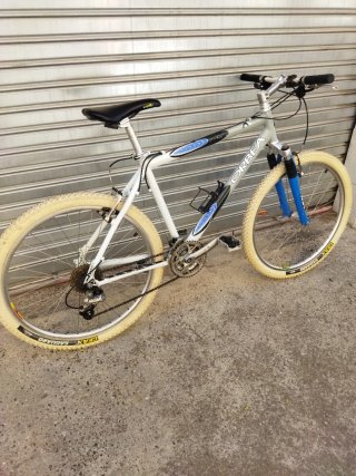 Bicicleta Orbea Occasion