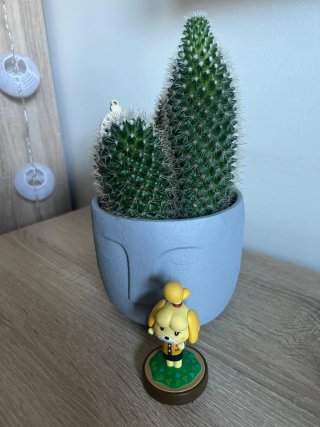 Animal Crossing Amiibo Festival per Wii U + 2 amiibo