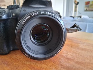 Canon EOS 550D + Objetivo 50mm f/1.8