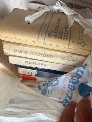 Lote de libros novelas antiguos con mucho valor