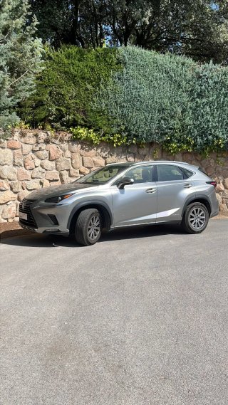 Lexus NX 2019