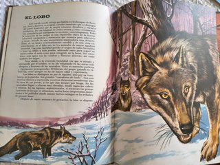 Grandes cazadores del Mundo Animal 1975 Fauna Curi