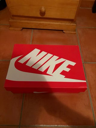 Nike Dunk purple (morado)