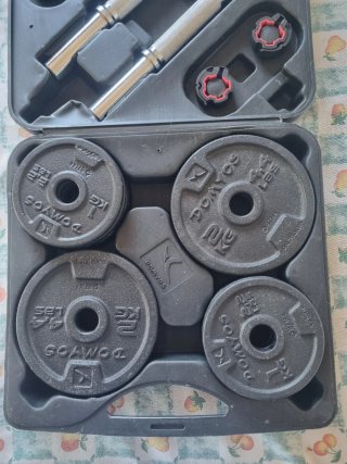Mancuernas Decathlon con discos y maletín