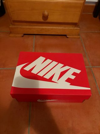 Nike Dunk Panda (blanco y negro)
