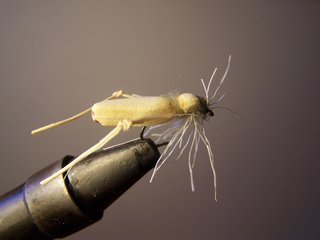 MOSCAS PARA LA PESCA DE BARBOS
