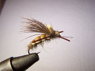 MOSCAS PARA LA PESCA DE BARBOS
