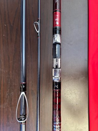 Caña Daiwa Liberty Surf 33 420 Tubular