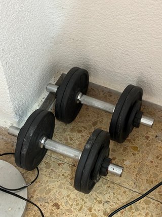 Mancuernas con discos ajustables