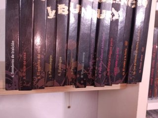 Colección CD Héroes del Silencio y Bunbury