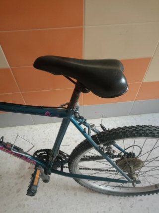 Bicicleta Boomerang Elite