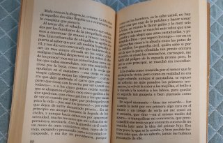 La familia de Pascual Duarte
