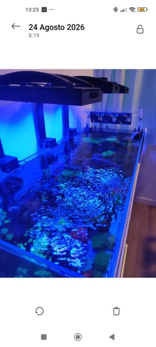Acuario Marino Cristal y Plástico1'18 x 0'80