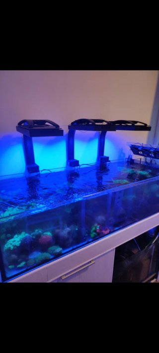 Acuario Marino Cristal y Plástico1'18 x 0'80