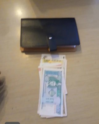 Lote de billetes + album portabilletes