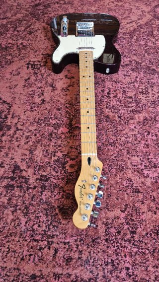 Fender Telecaster Standard Midnight Wine
