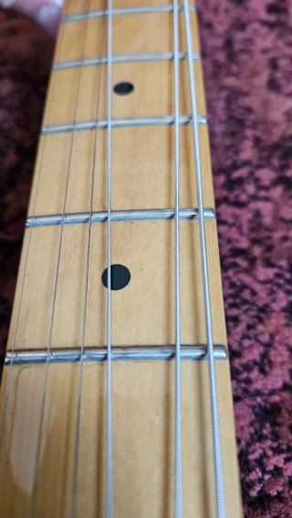 Fender Telecaster Standard Midnight Wine