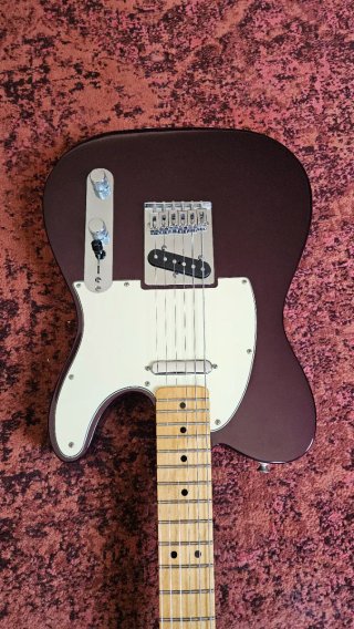Fender Telecaster Standard Midnight Wine