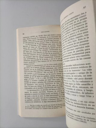 Introducción al "Quijote"