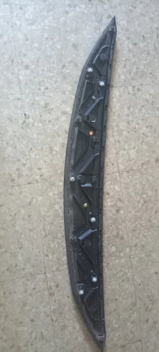 Moldura sobre capó Citroen C4 07/13