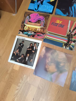 Lote de 12 Vinilos Pop Rock Latino Tango