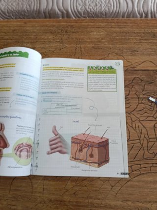 Libro Ciencias Naturales 5 primaria. Anaya.