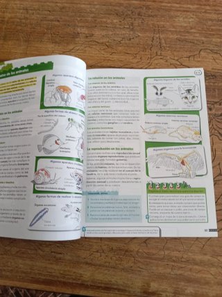 Libro Ciencias Naturales 6 primaria. Anaya.