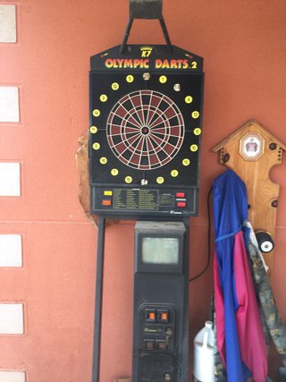 Diana de dardos profesional Olympic Darts