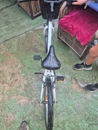 Bicicleta blanca con cesta