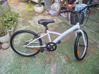 Bicicleta blanca con cesta