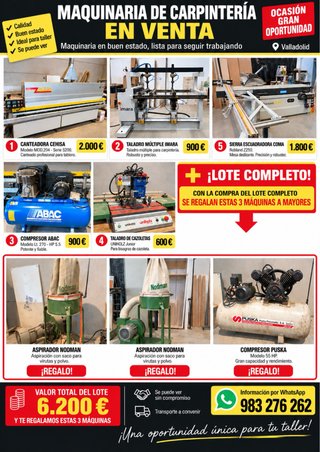 Lote Maquinaria Carpintería Profesional