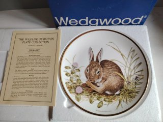 Piatto Rabbit Porcellana Wedgwood con scatola