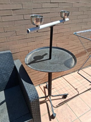 Percha para loro con bandeja