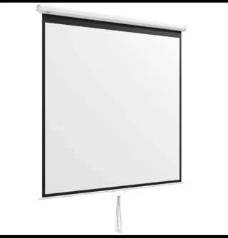 Pantalla de Proyector Portátil