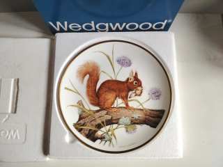 Piatto Wedgwood Scoiattolo Porcellana Inglese