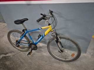 Pack 2 Bicicletas 24" 50€