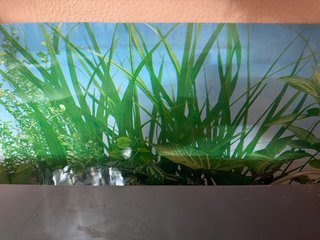Pecera 60x30x40