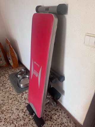 Banco Plano BH Fitness Atlanta300 G59X