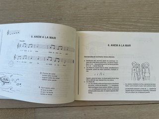 Cançons: Música per a tot l'ensenyament